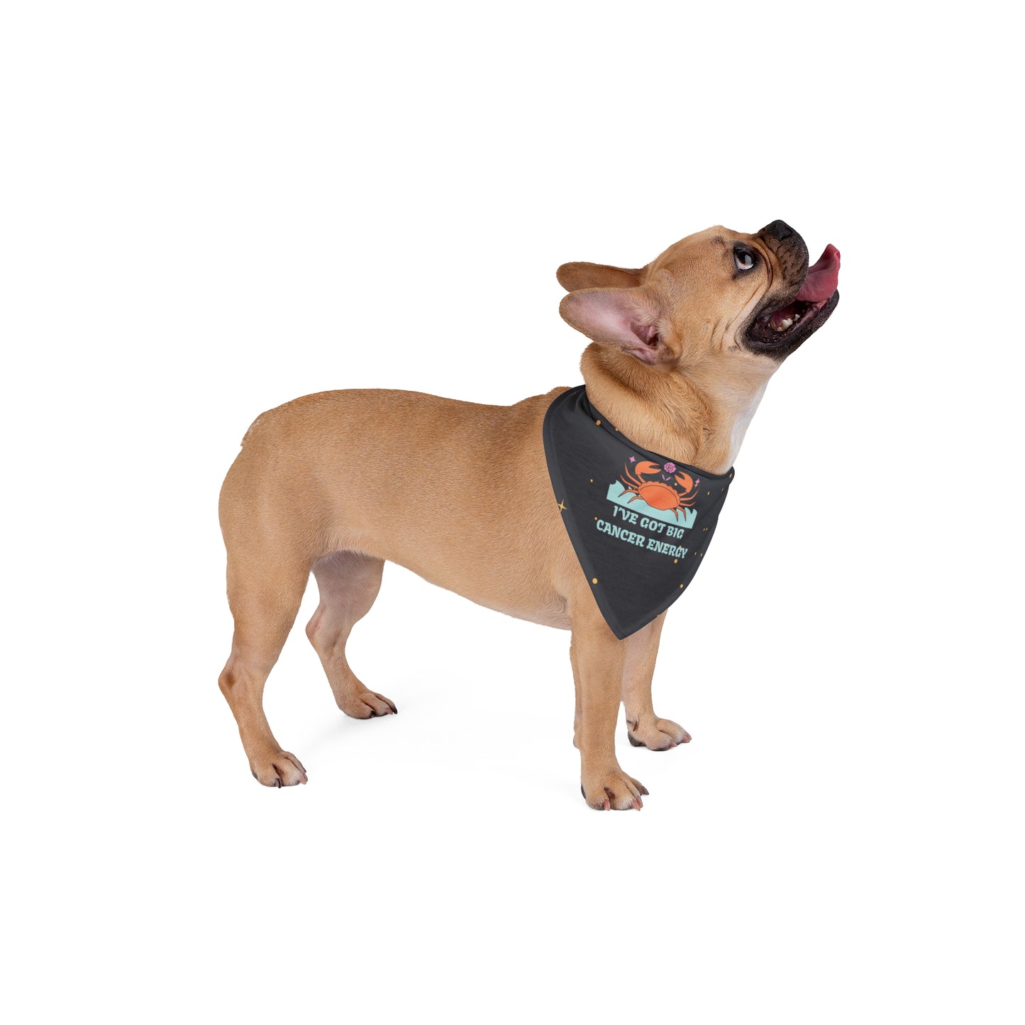 Cancer Energy Bandana