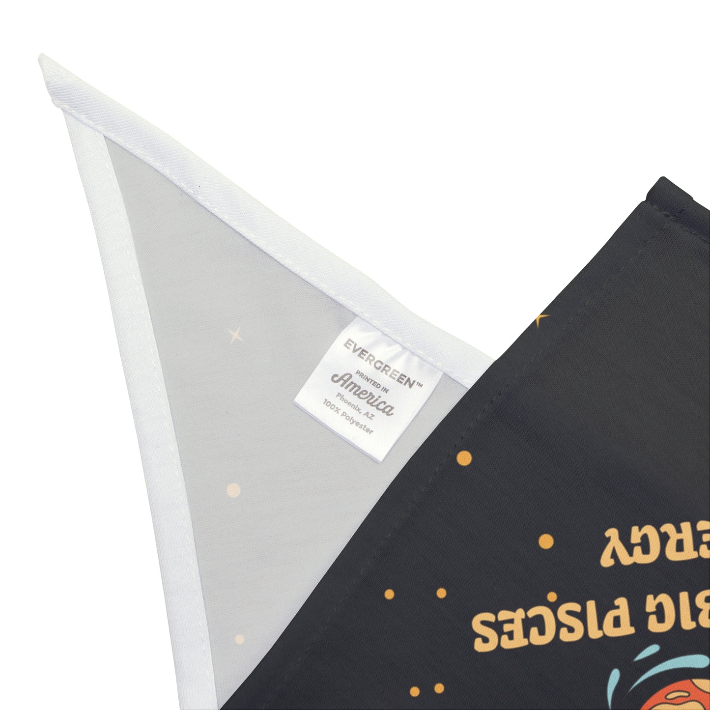 Pisces Energy Bandana