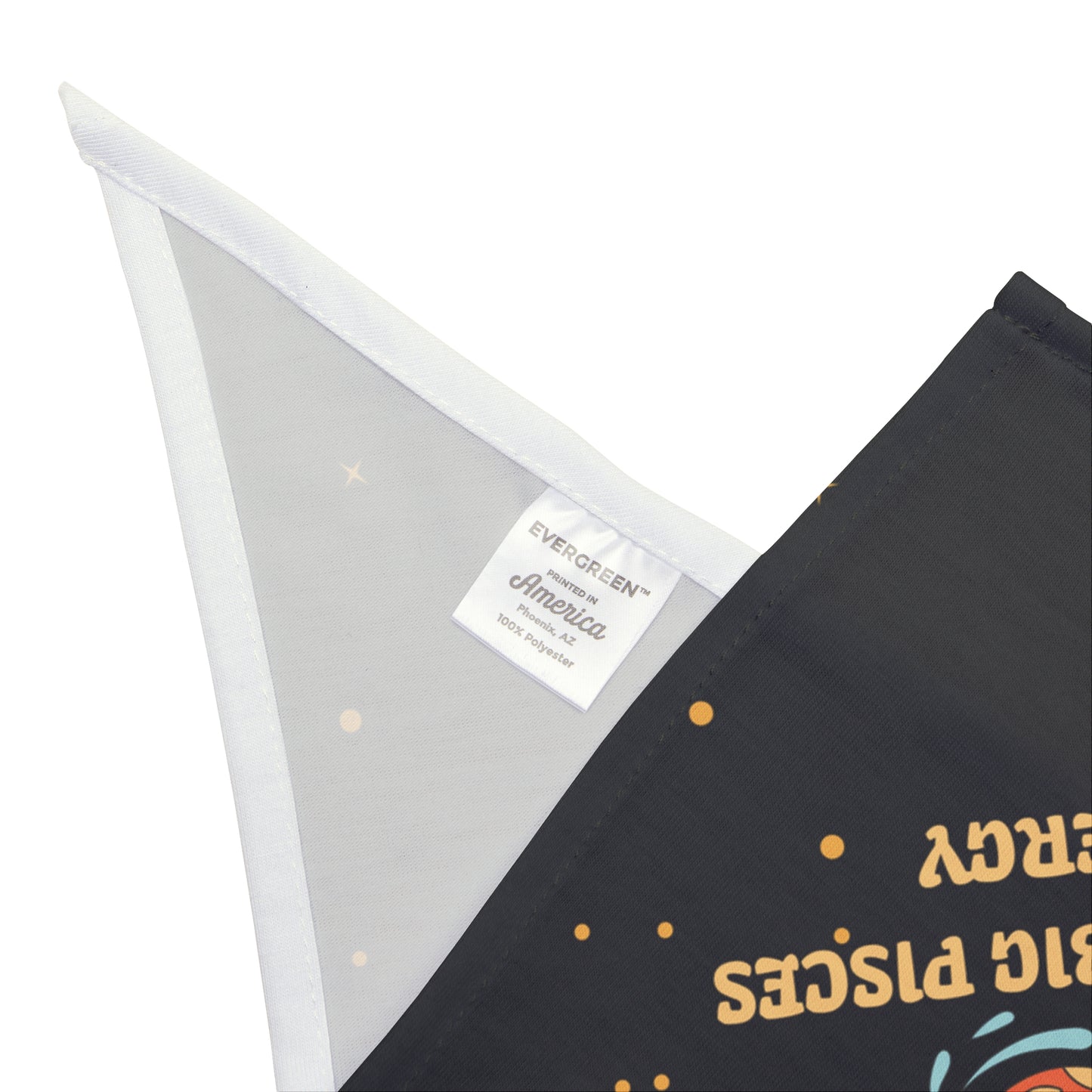 Pisces Energy Bandana