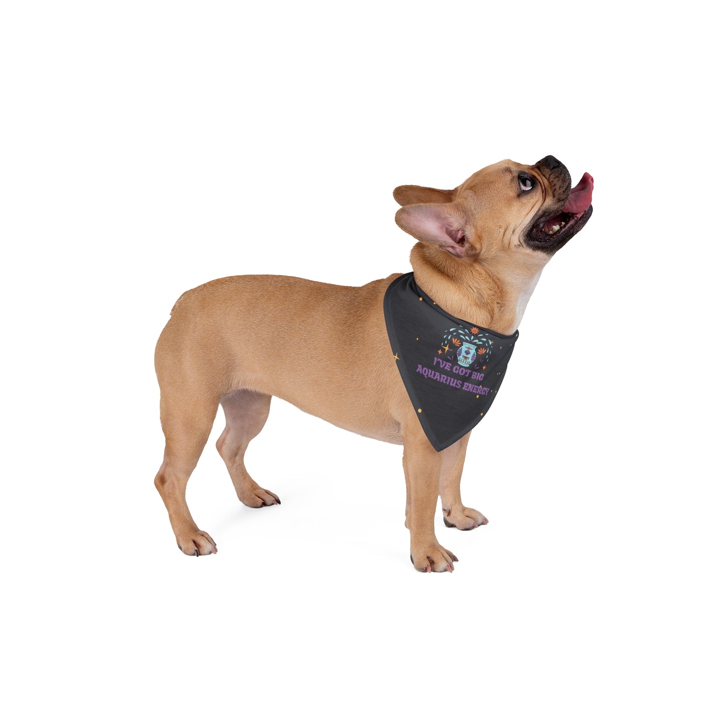Aquarius Energy Bandana