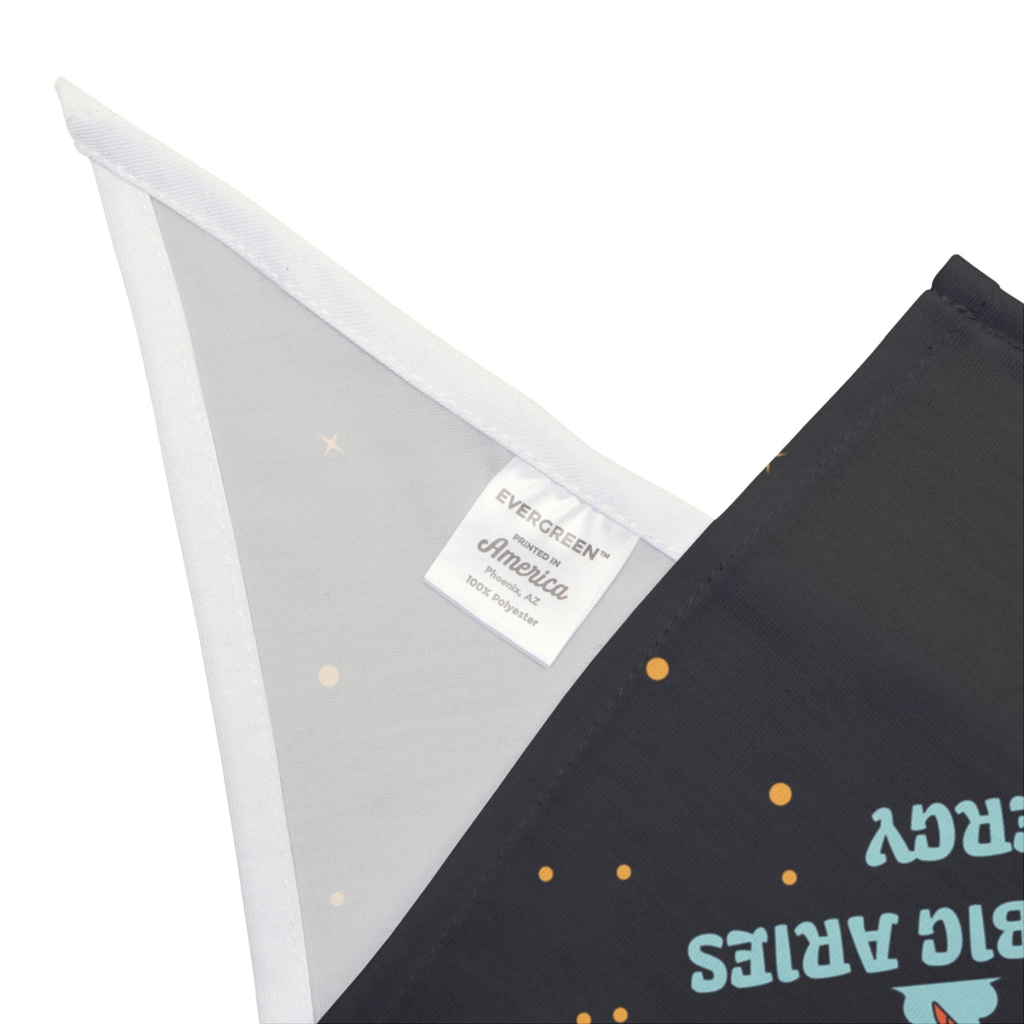 Aries Energy Bandana