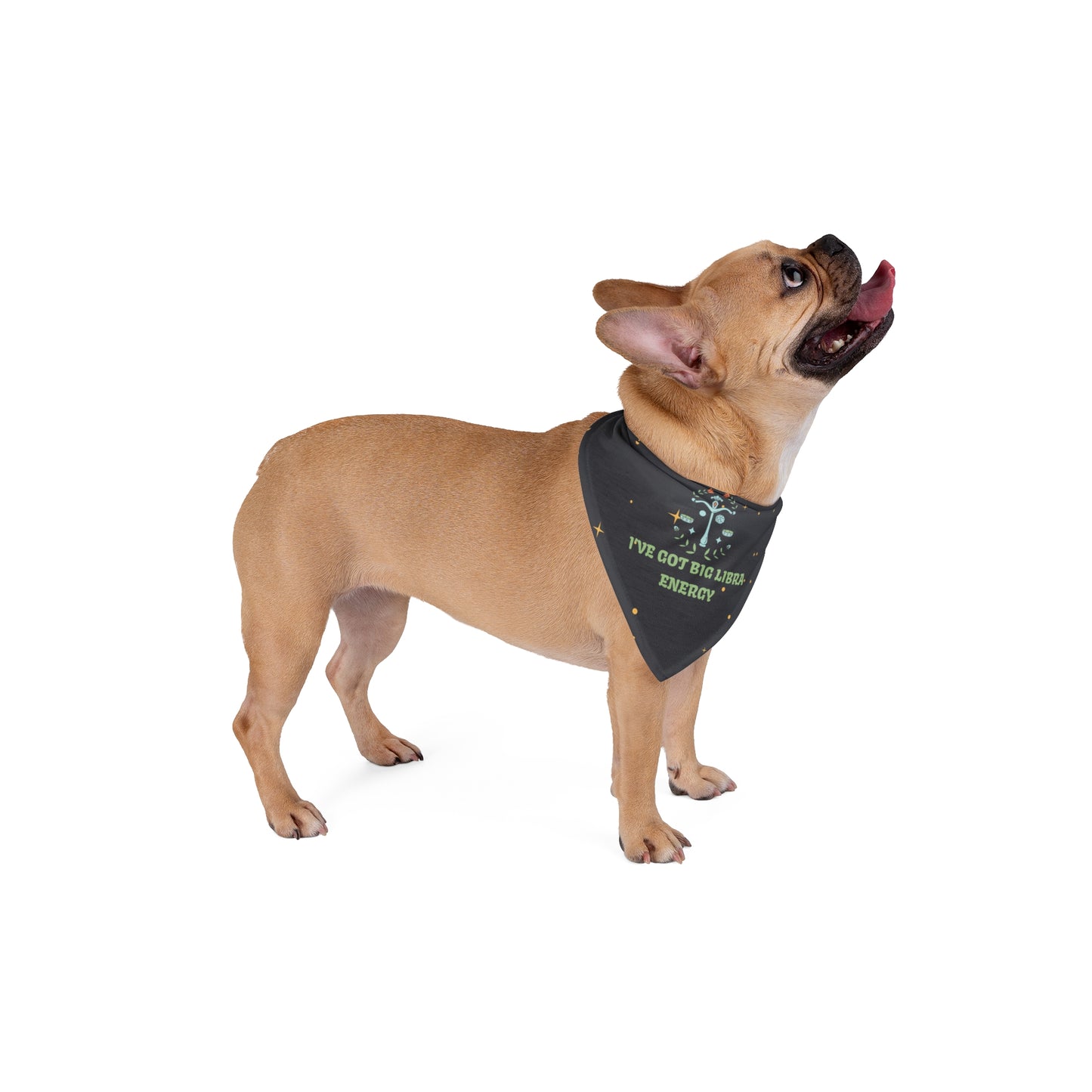 Libra Energy Bandana