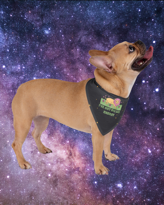 Leo Energy Bandana