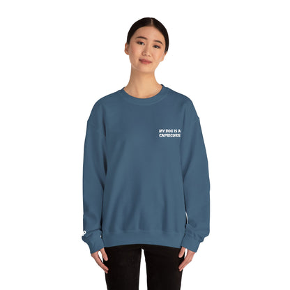My Dog is a Capricorn Embroidered Sweatshirt