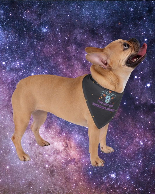 Aquarius Energy Bandana