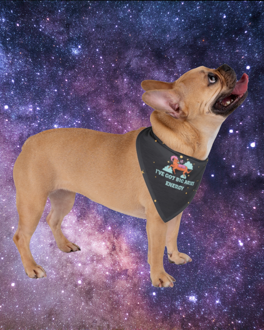 Aries Energy Bandana