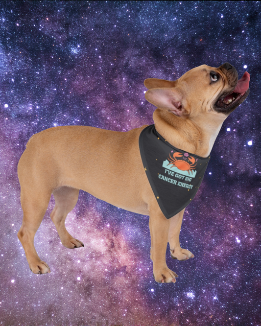 Cancer Energy Bandana